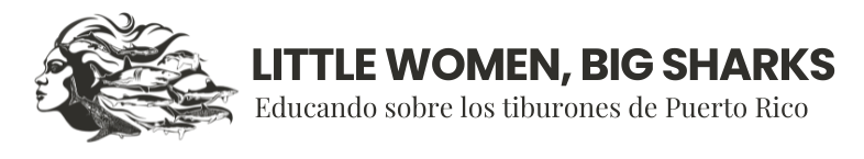 Little Women, Big Sharks | Tiburones de Puerto Rico