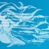 Tarjetas: Características de los tiburones
