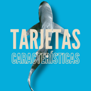 Tarjetas: Características de los tiburones