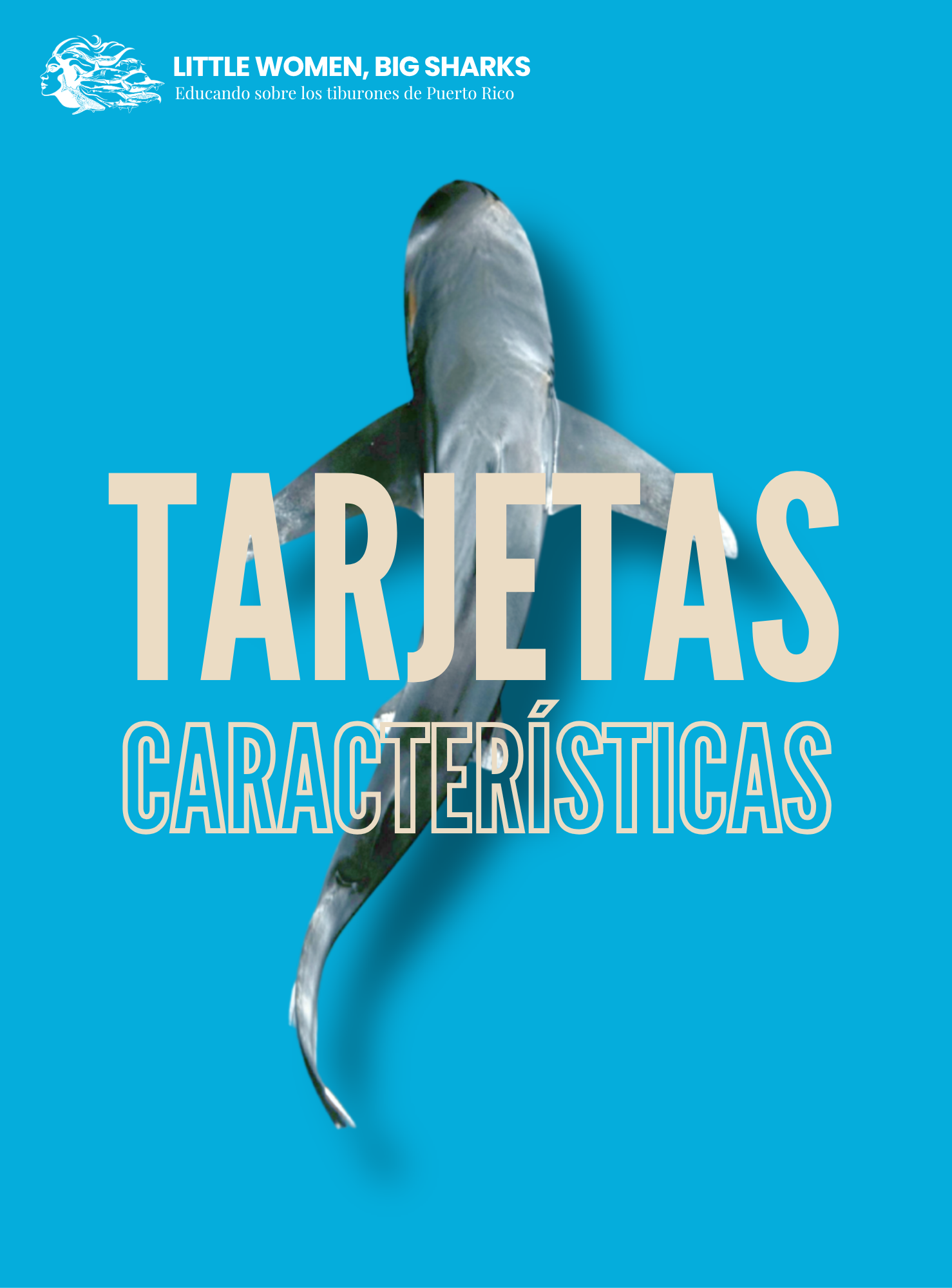 Tarjetas: Características de los tiburones